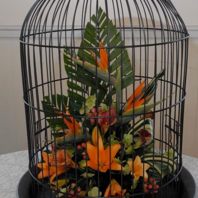 Rental - Large Bird Cage