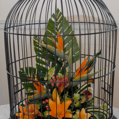 Rental - Large Bird Cage